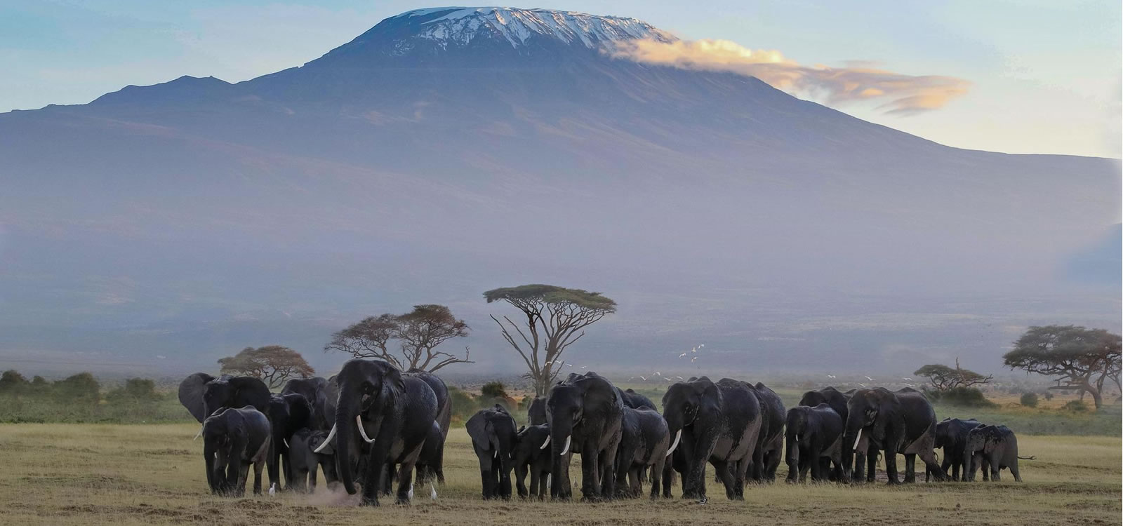 4 Days amboseli safari