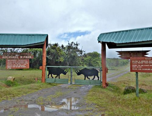 Aberdares National Park