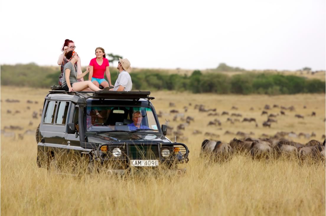 game drive