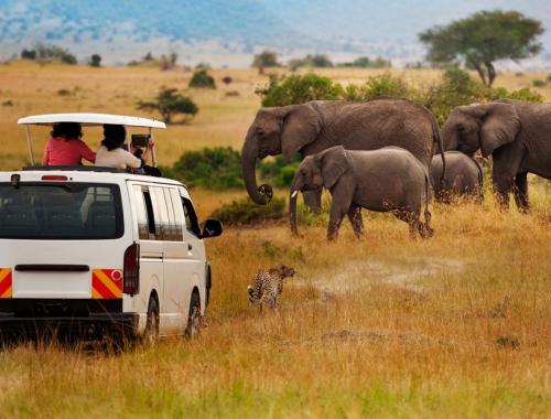 10 Days Kenya and Tanzania Wildlife Safari