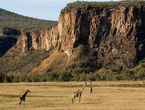 1 Day Hells Gate National Park Safari | Hells Gate Kenya | Kenya Budget Safaris