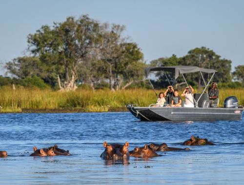 10 Days Safari: Masai Mara - Lake Nakuru & Tanzania Game Parks Wildlife Safari