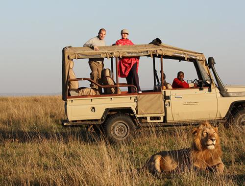 2 Days Masai Mara Camping Safari | kenya safari holidays | 1 Night Masai Mara Drive In Tour